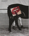 Nosotras somos Placer, collage by ZulArt